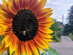 Antrag zum Mobilitäts-und Klimakonzept